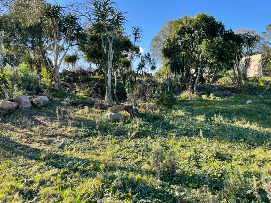 0 Bedroom Property for Sale in Bathurst Eastern Cape